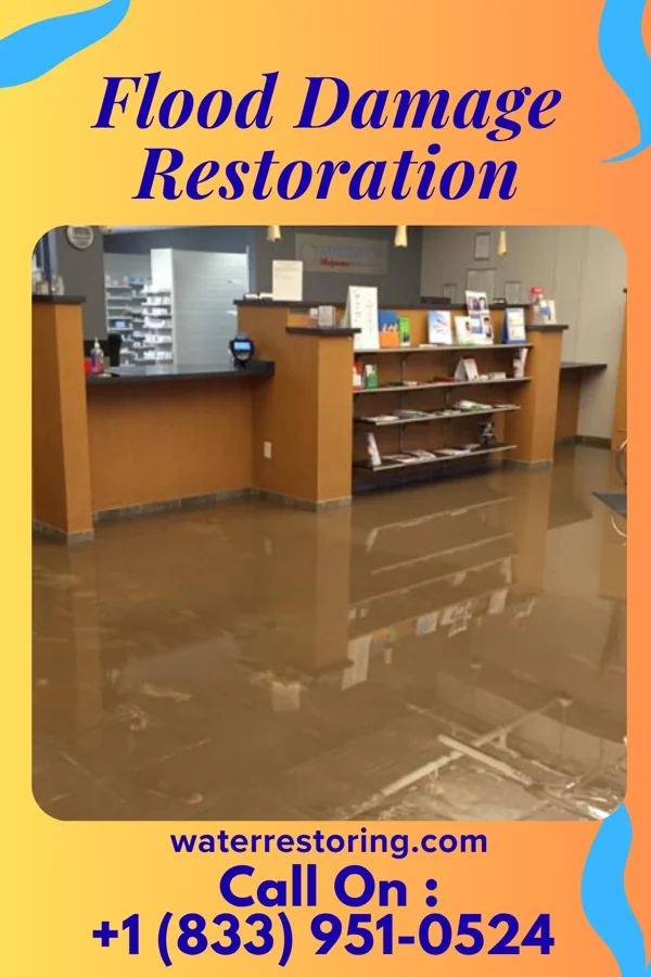 Flood Damage Restoration in Hayward, WI