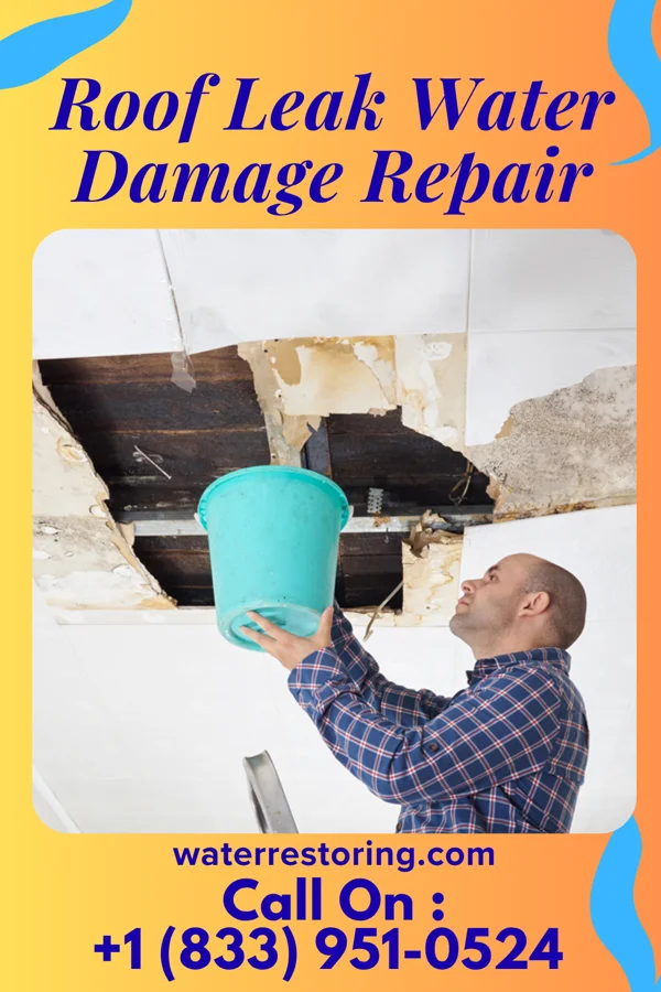 Roof Leak Water Damage Repair in Hayward, WI