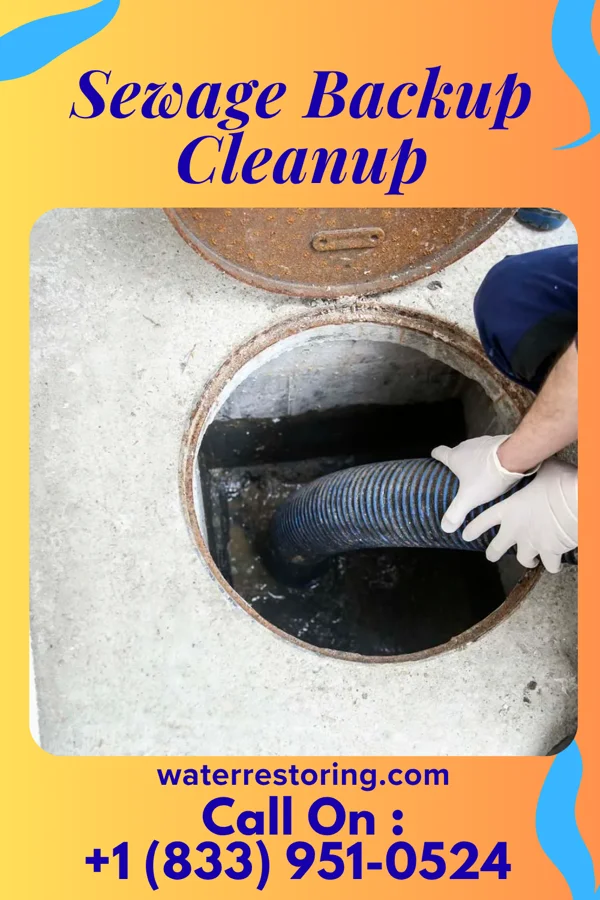 Sewage Backup Cleanup in Hayward, WI