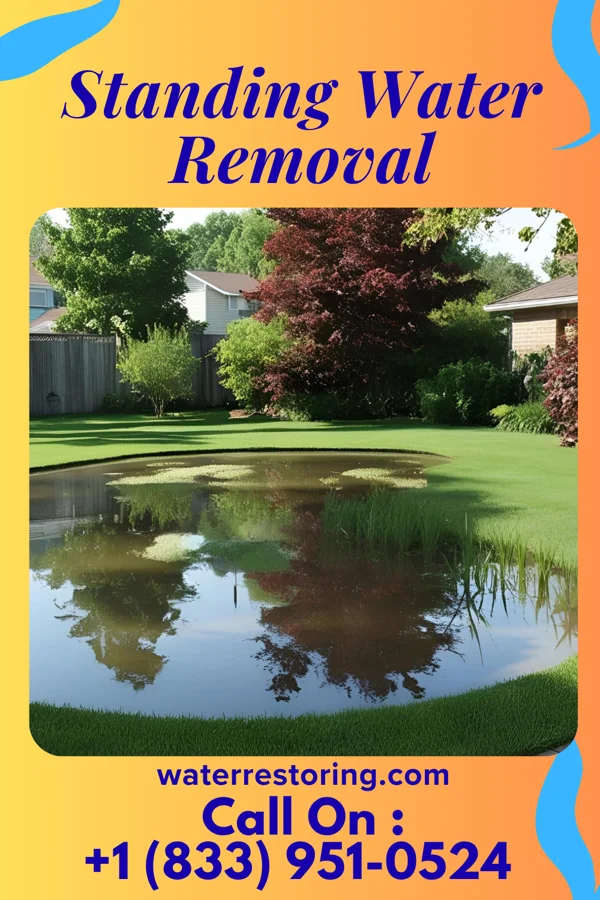 Standing Water Removal in Hayward, WI